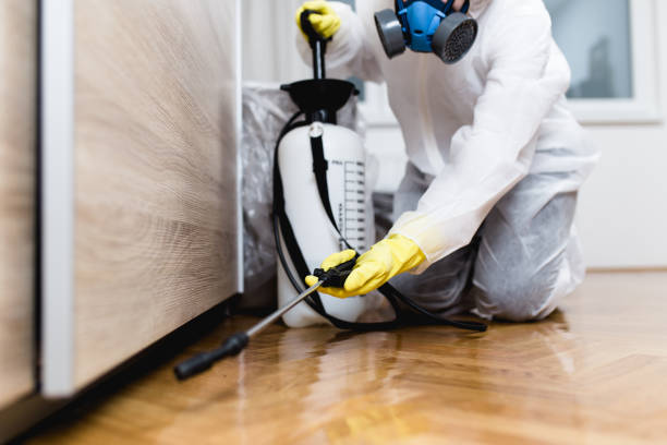 Best Affordable Pest Control Services  in Ardmore, OK