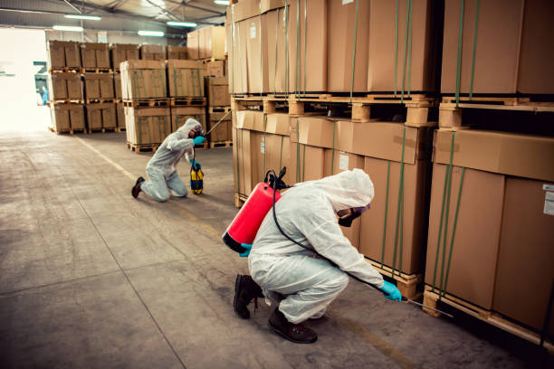 Best Emergency Pest Control  in Ardmore, OK