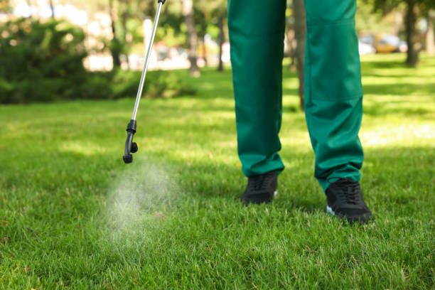 Best Cockroach Control Services  in Ardmore, OK